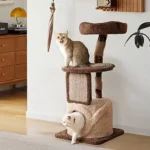 Deux chats jouent sur un arbre à chat haut de gamme