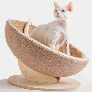 Un Devon Rex à l’aise dans le panier griffoir rond.