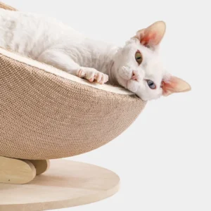 Un Devon Rex adore le panier griffoir au design simple.