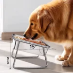 Un golden retriever en train de manger.