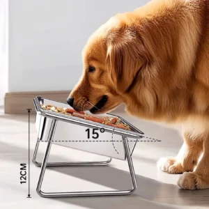 Un golden retriever en train de manger.