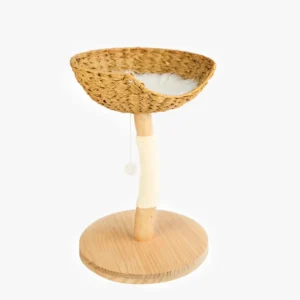 Petit arbre à chat avec niche pour chat