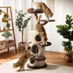 Plateforme conçue pour l’escalade des chats