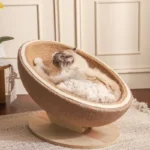 Un ragdoll allongé confortablement dans le panier griffoir rond.