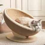 Un ragdoll dort dans le panier griffoir rond au design épuré.
