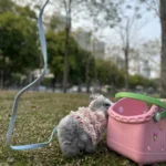 Sac bandoulière en caoutchouc écologique pour animal