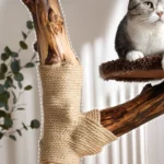 Structure en bois massif d’un arbre à chat