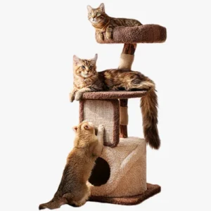 Arbre à chat haut de gamme à faible encombrement