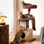 Dimensions d’un arbre à chat avec une niche