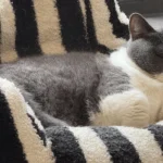 Gros plan sur la matière du canapé pour animal noir et blanc.
