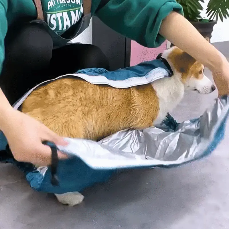 <p style="font-weight: 400;">Ce sac pour sèche cheveux chien offre à votre toutou un séchage rapide et complet après son bain. Pas besoin de séchoir spécifique : il transforme votre propre appareil en une pièce de toilettage quotidienne, sans projection d’eau ni envolée de poils.</p> <p style="font-weight: 400;"><span style="font-weight: 400;">Son tissu oxford renforcé, doublé d’un film thermique, garde votre compagnon, qu’il soit canin ou félin, bien au chaud en hiver et aide à sécher vite en été sans former de nœuds. Sa facilité d’utilisation avec un tuyau prolongé permet simplement d’insérer votre séchoir tout en éloignant les bruits gênants. C’est une belle astuce pour réduire les allers-retours chez le toiletteur tout en allégeant vos dépenses. </span></p> <p style="font-weight: 400;">Avantage:</p> <ul style="font-weight: 400;"> <li>Ce sac de séchoir pour chien assure une excellente résistance, une bonne isolation ainsi qu’une diffusion rapide de la chaleur grâce à son tissu oxford haute densité avec une couche intérieure thermique argentée.</li> <li>Il protège aussi bien vos toutous que vos miaous après le bain : les garde bien au chaud en hiver pour éviter les coups de froid, et favorise un séchage rapide en été tout en prévenant les nœuds et l’humidité dans le pelage.</li> <li>Son design pratique permet de seulement raccorder votre sèche-cheveux standard à son tuyau flexible, simplifiant ainsi la procédure de séchage traditionnelle sur chaque zone du corps.</li> <li>Son enveloppe avec fermeture auto-agrippante évite les projections de poils et les éclaboussures, tout en facilitant l’enfilage et l’ajustement sans prise de tête.</li> <li>Plus besoin d’invertir dans un séchoir spécialisé ni de payer chaque séance de toilettage, c’est un bon coup de pouce pour gagner du temps et alléger les budgets.</li> <li>Le long tuyau permet d’éloigner la source de bruit, réduisant le stress chez les animaux sensibles ou un peu peureux pendant le séchage.</li> </ul> <p style="font-weight: 400;">[custom_combined_shortcode title=" Matériau" id="64465"][custom_combined_shortcode title=" Guide de tailles" id="64464"] [cg_accordion title="Livraison"] La livraison de ce sac sèche cheveux chien s’effectuera dans un délai de 7 à 28 jours ouvrables dès la validation de votre commande. <span lang="FR"> </span>[/cg_accordion][cg_accordion title="Retour"] Si, pour quelque raison que ce soit, vous n'êtes pas pleinement satisfait, une demande de retour serait possible dans les 14 jours suivant la réception. [/cg_accordion]</p>
