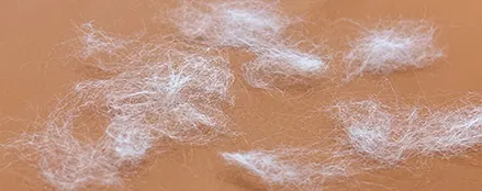 Tissu anti-poils facile à nettoyer