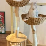 Arbre à Chat Bois Flotté Design Scandinave photo review