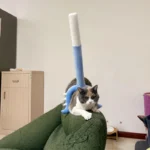 Un chat noir et blanc allongé avec un jouet pour chat bleu
