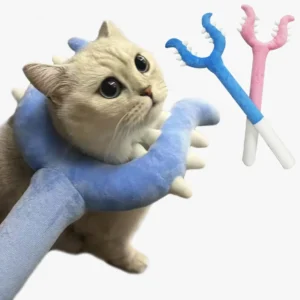 Un chat silver shaded joue avec un jouet pour chat en forme de fourche en peluche à tirer